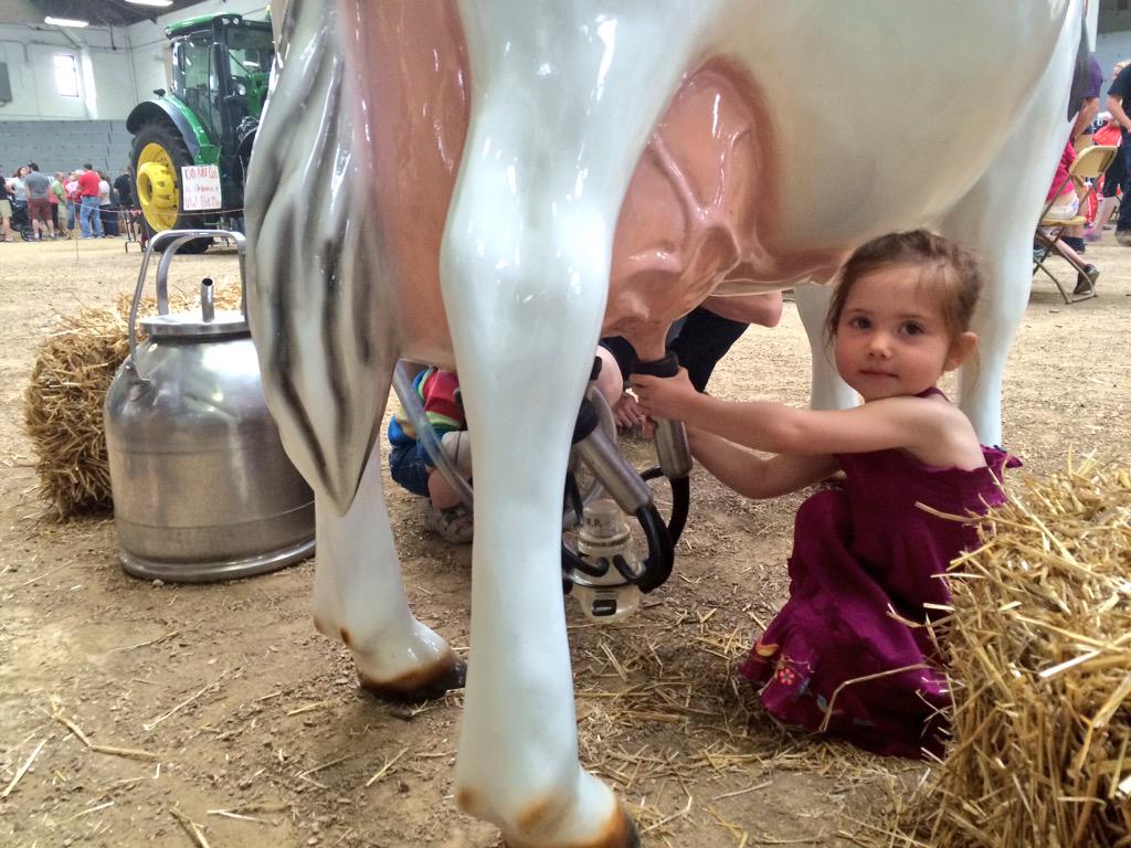 DairyFound's tweet photo. Teaching the next generation! #dairy #dairypromotion http://t.co/iDEENtaPFE