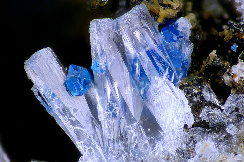 mineraltweets's tweet photo. Diaboleite and phosgenite, from Thorikos Bay slag, Attikí Prefecture, Greece
Photo by Serge Lavarde
#micromount http://t.co/FwTHz3YRCK