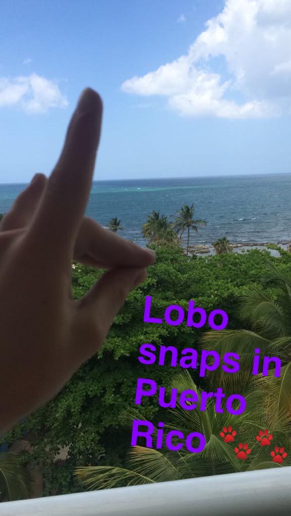 LoboSnaps's tweet photo. #LoboSnaps everywhere http://t.co/R44iegSB76