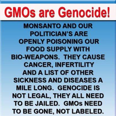 8extremes's tweet photo. Y would any1 think #GMO Poison injected in2 Seed would Not Harm the Planet

Y R U Harming MY FOOD
LABEL GMO BOYCOTT http://t.co/G56EScPTvp