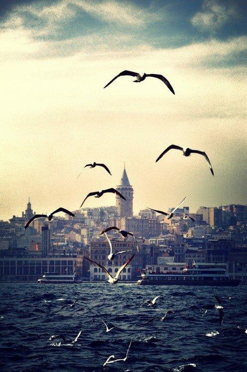 hhyvzz's tweet photo. Sessizlik en güzel sestir; duyabilen için..

Şems-i Tebrizi Hz. http://t.co/deKQ50J3pZ