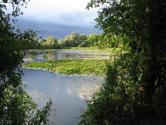 myStNeots's tweet photo. Event Reminder : Dawn Chorus and Light Breakfast – Sun May 10th at 5.30am
http://t.co/063J2ozZ2I #StNeots http://t.co/1cw0wz2N6w