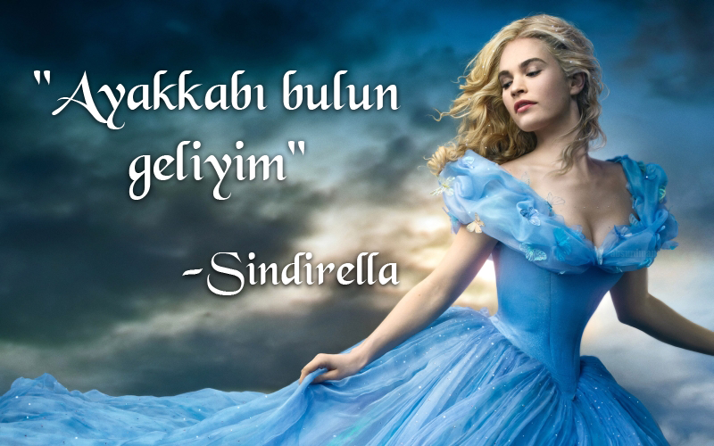 девы розена. всеобщая принцесса. самая красивая принцесса диснея. каллиграфия китай png. всеобщая принцесса.