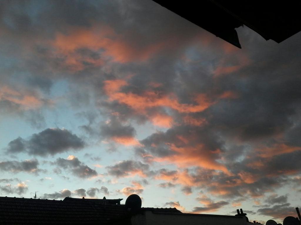 BStarsch tweet picture