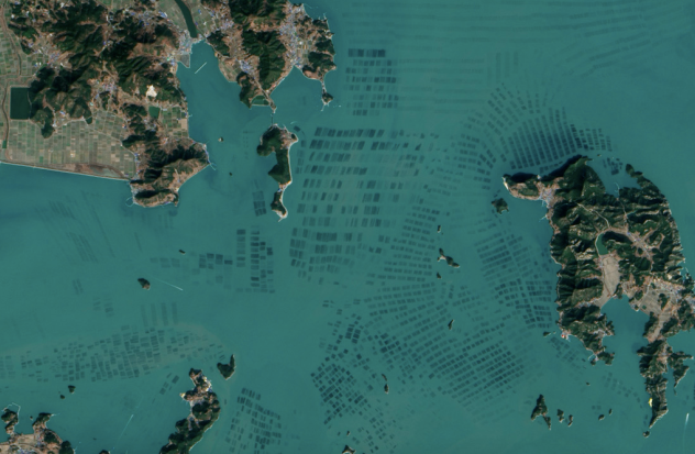 tiredofcats's tweet photo. "The fields of seaweed are grown on ropes strung along the southern coast of South Korea around Sisan Island." http://t.co/FLsj8Smqu2