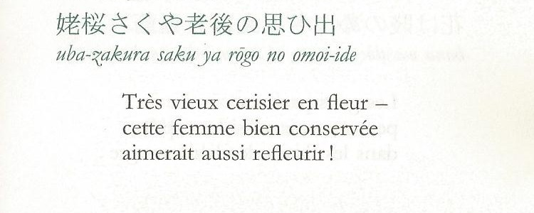 Ｂｌｏｇｇｕｅｕｒ tweet media