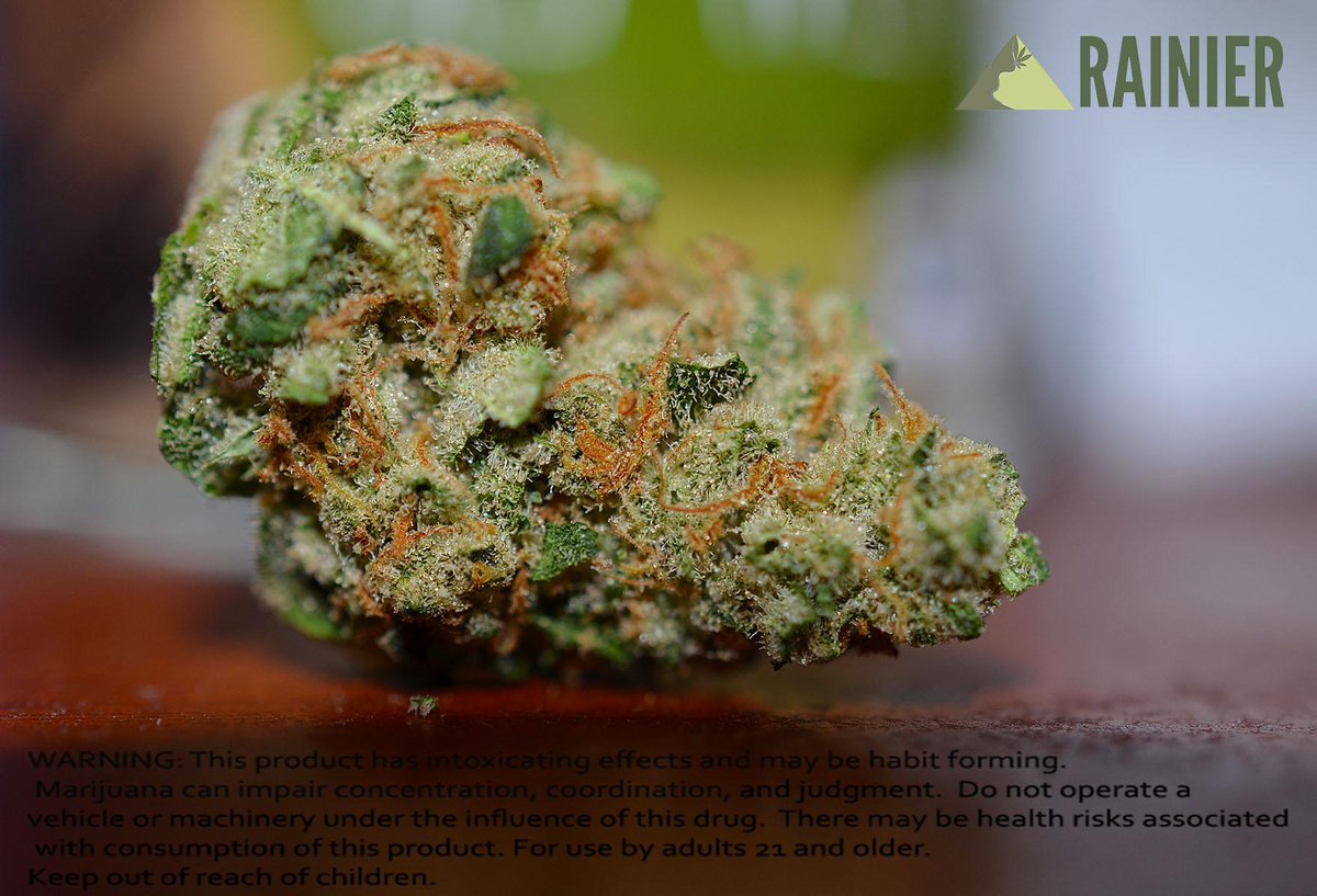 Treat yourself with some #DreamBeaver from @GrowOpFarms and have fun in the sun today! #i502 #PhatPanda #cannabis