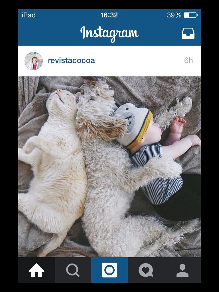 fededelia1's tweet photo. Linda foto de @RevistaCocoa http://t.co/3pnltnKlGW