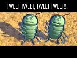 joshua_smawley's tweet photo. Tonight when #SecretsAndLies comes on #ABugsLife #TweetTweeTweet tweet #ThisIsHowThingsTrend - edited w @Phontograph http://t.co/MM0gt1AxxE