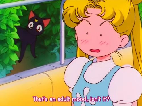 Lol 😂 #SailorMoon