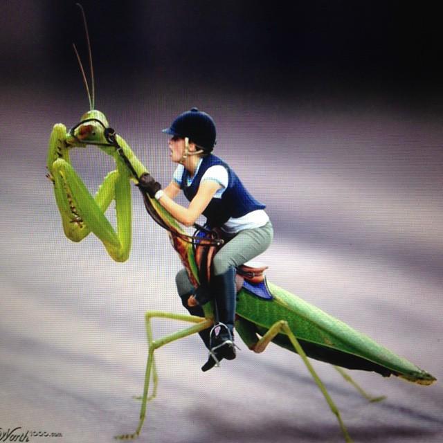 RUMPSTEPPERS tweet media