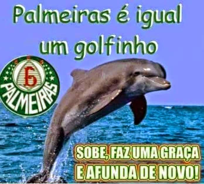 Net__Peixe's tweet photo. KKKKKKKKKKKKKKKKKKKKKK http://t.co/jThiSrjogr
