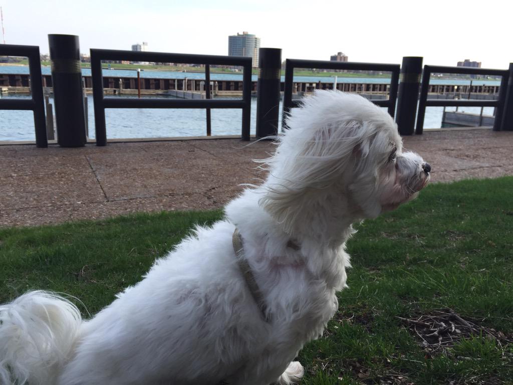 Having a sit by the water.  Lovely weather for it.