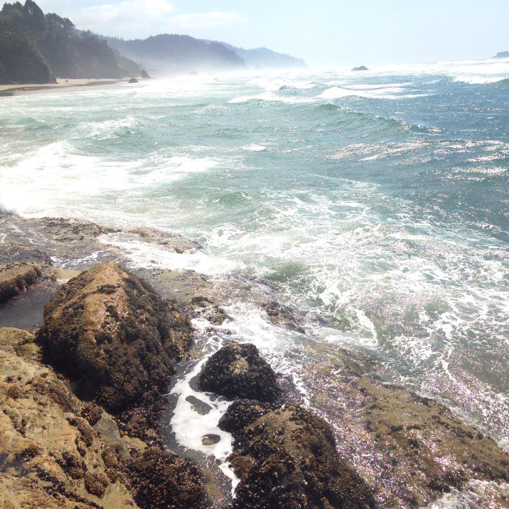 stephoto27's tweet photo. Spent this weekend finding cool hidden spots in Oregon ☁️🌺🌞🌊 http://t.co/1CT8COhQHV