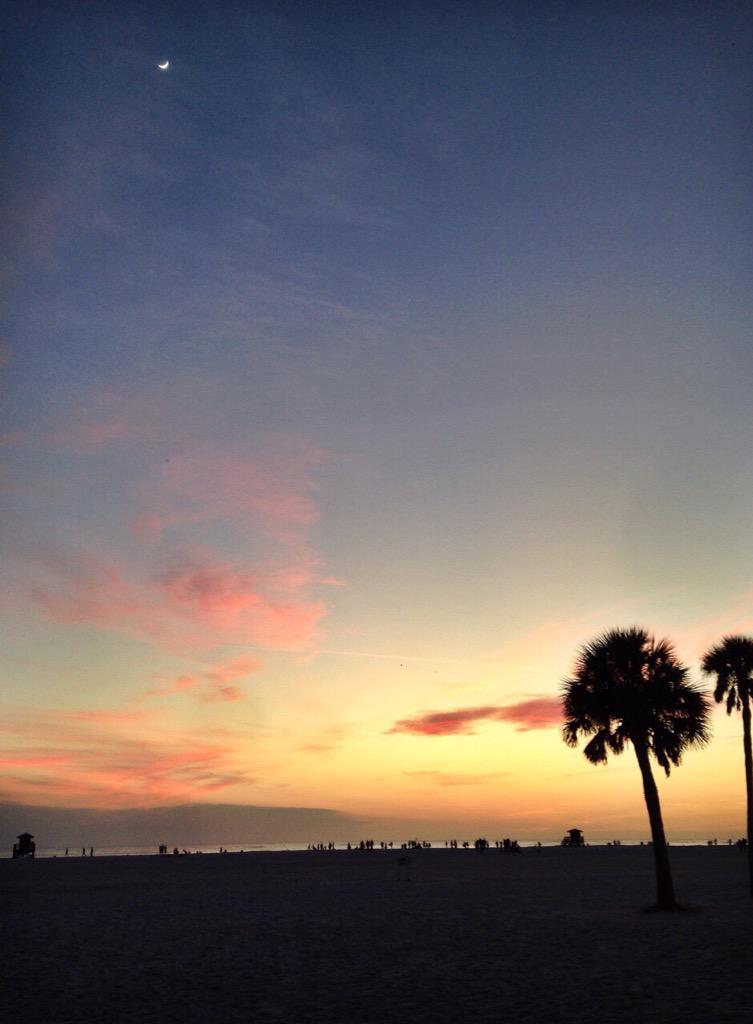 dailyparadisee's tweet photo. so desperate for a beach day🌞🌊🌴 http://t.co/4QcWtjeN64