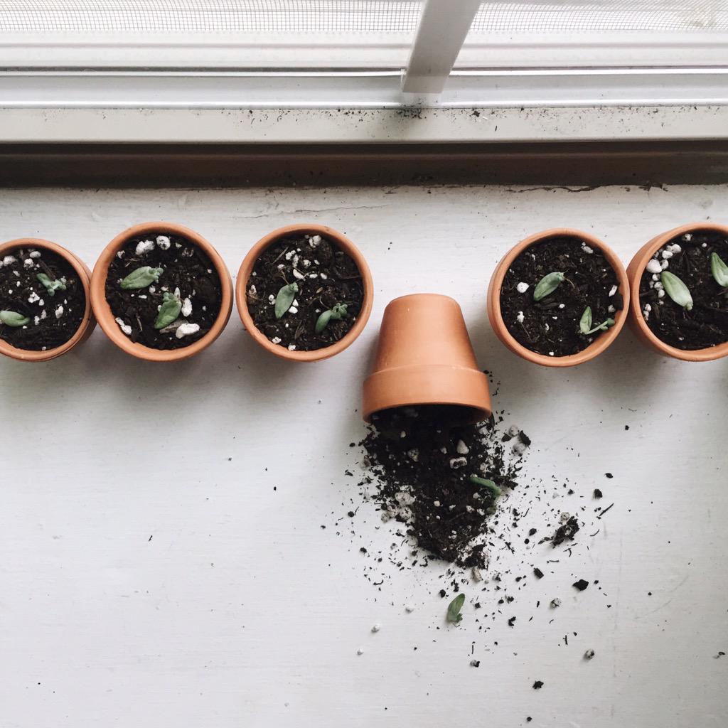 Don't cry over spilled dirt. #oops @JodyLynnJackson