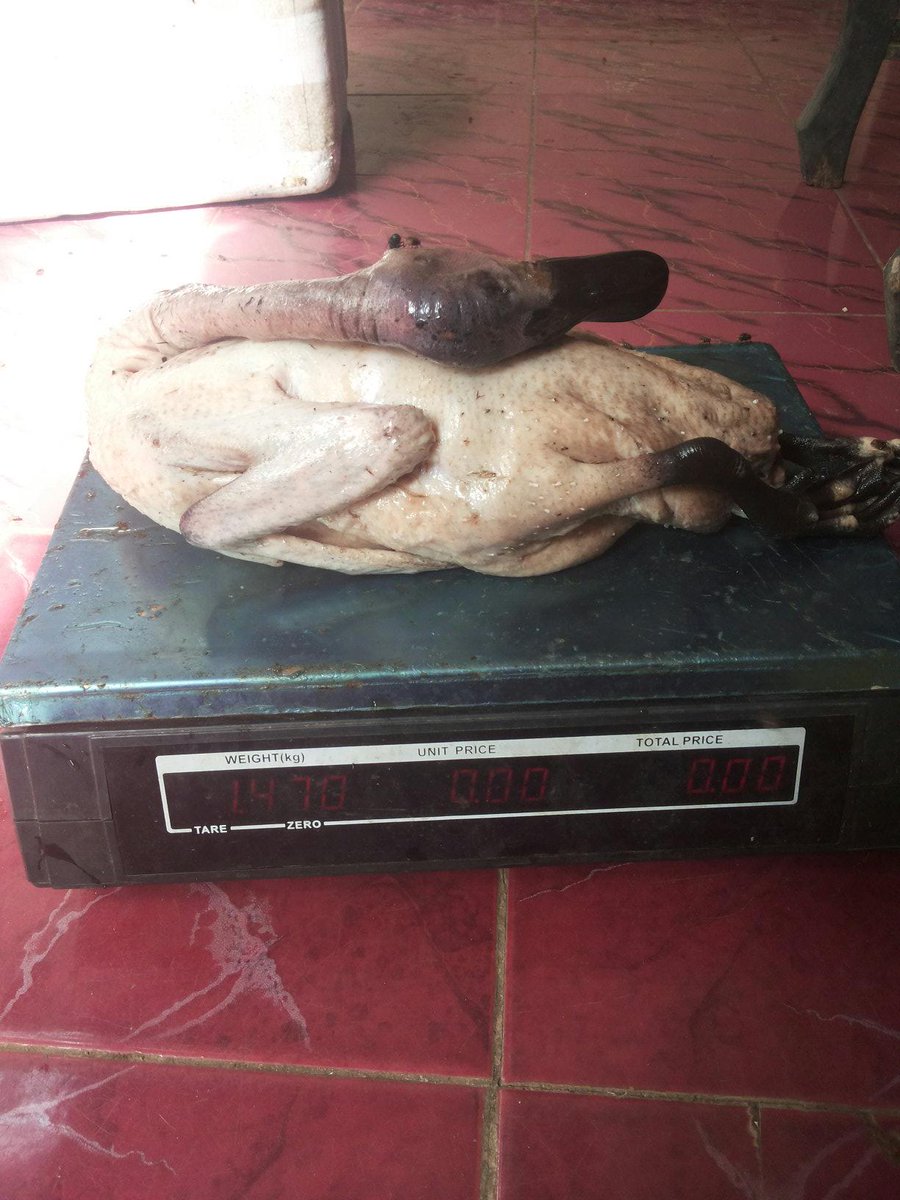 Hendra Hermawan tweet media