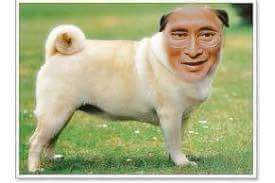 ROSE99961124's tweet photo. @sudarang มาช่วยไฉไลแฉแหลกแหกหีขยี้บี้ควยจักกะหรี่วงองส้นตีนเเล้วนะจารย์หวาน คริ๊ๆๆๆ http://t.co/EfsiwL0Qu9