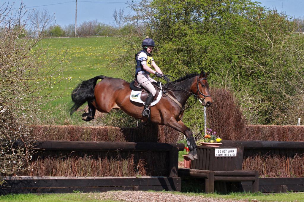 Lovely 15.3Hh bay mare for sale. Done 2 BE90s and won both! Really super little horse which is easy and will go far