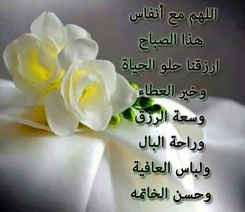 Alkondall32's tweet photo. صباح العسل للناس العسل
صباحكم ورد http://t.co/GOTICBcVL4