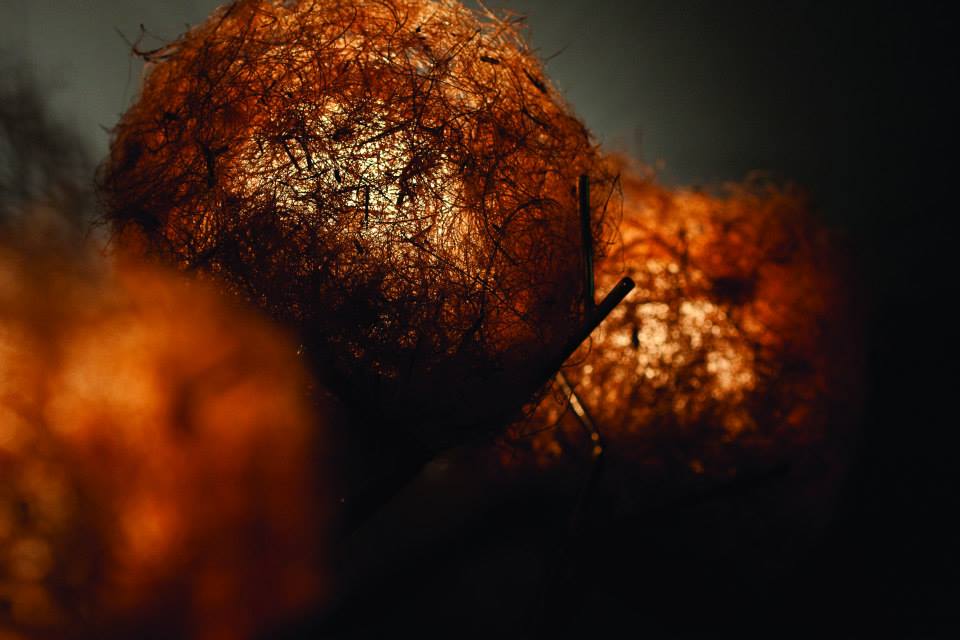 Designed by Kai Igot, the Cuckoo is a bridge between minimalism and forms from nature. on.fb.me/1R3DIaZ