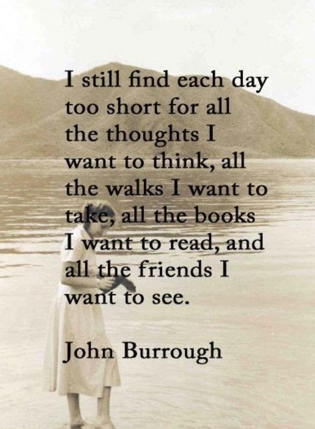 EricaOwner's tweet image. 