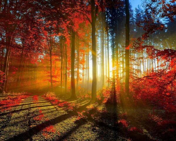 CordeiroRick's tweet image. 