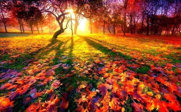 CordeiroRick's tweet image. 