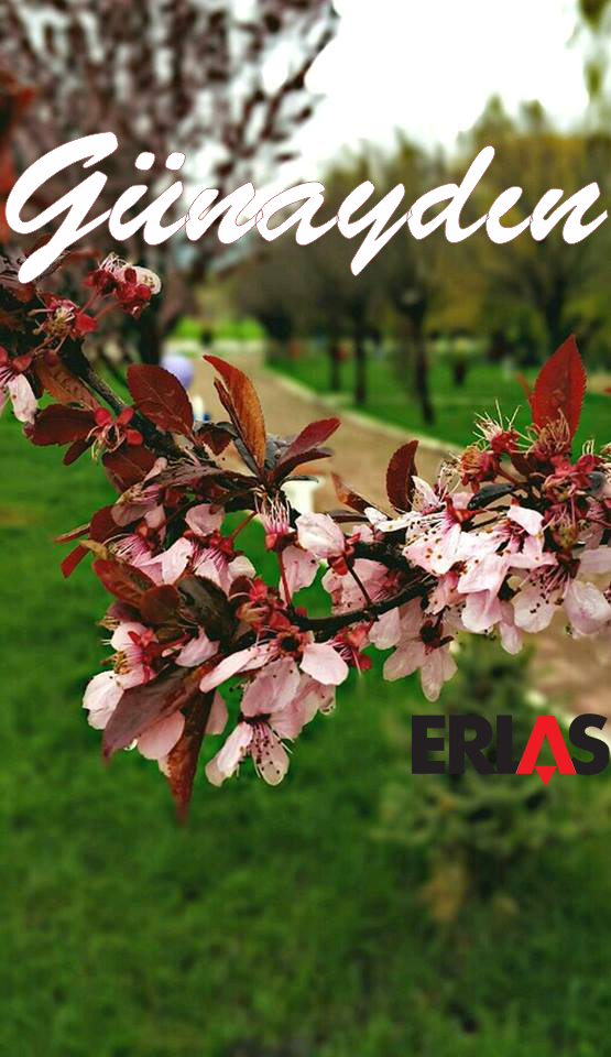 Günaydın Türkiye...
#işingerçeği Hayırlı Haftalar  :)