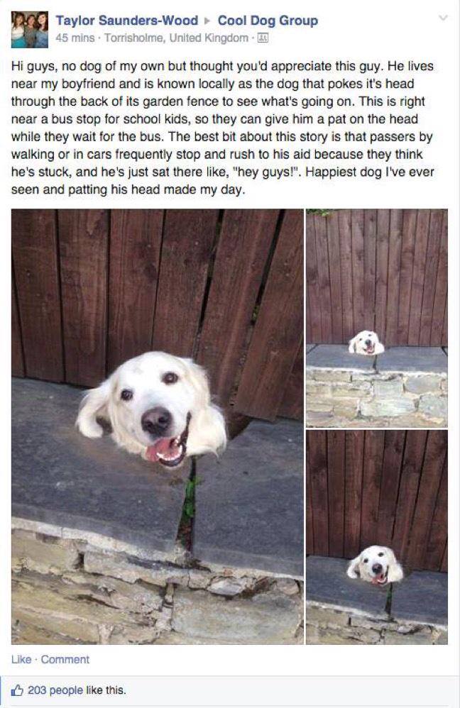 HiIariousFunny's tweet photo. i love this http://t.co/JenpR9M4jk