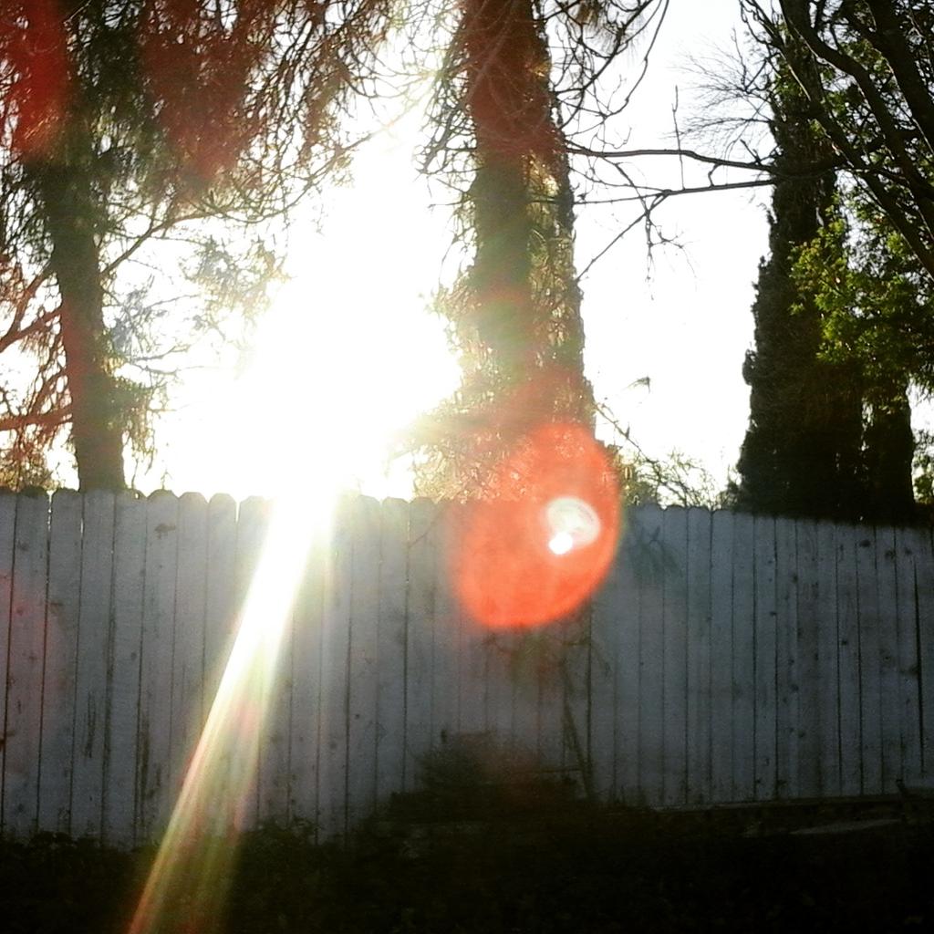 What a beautiful picture  I took of the shine