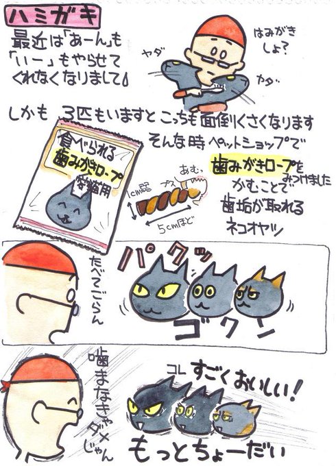 猫漫画ブログのtwitterイラスト検索結果 古い順