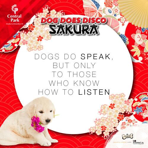 CentralParkMall's tweet photo. DOGS DO SPEAK
BUT ONLY
TO THOSE
WHO KNOW
HOW TO LISTEN

#DogDoesDisco2015 #DDDSakura http://t.co/TuzlNKocKV