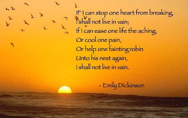 emily dickinson in vain