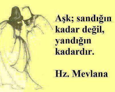 metin ömer (@adem66metin) on Twitter photo 
