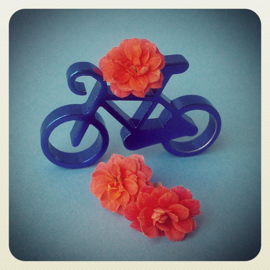 ManRodCas's tweet photo. Lunes, mayo, flores,... A vivir!
@bicimensajeros @enviozsevilla @Bicicleto_ZGZ @Velocespuntoes @altrabajoenbici http://t.co/YpNxfAszFL
