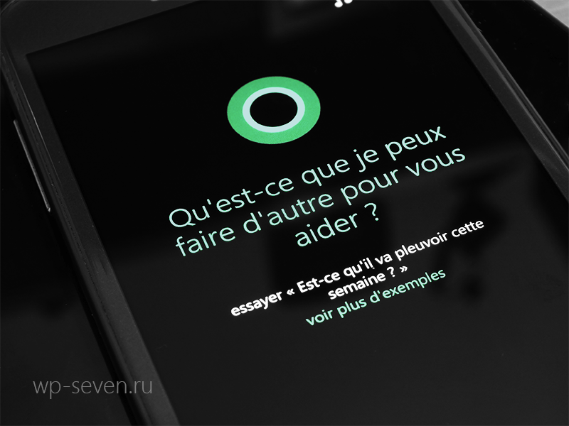 wpsevenru tweet picture