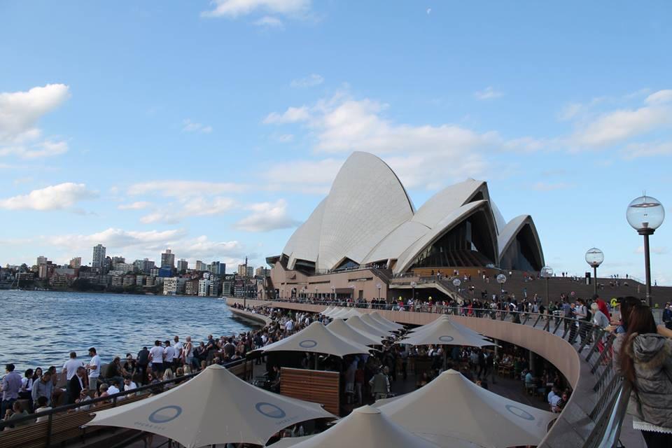 ThompsonSen's tweet image. 