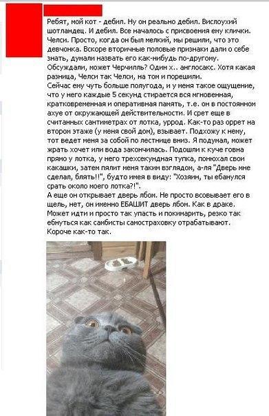 СМСник (@tw_sms) on Twitter photo 