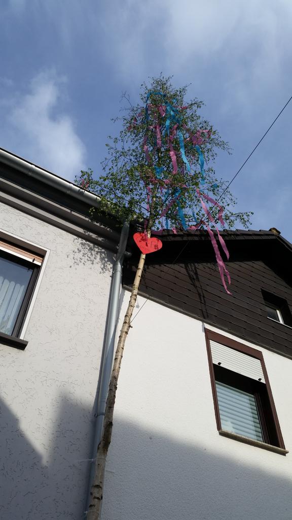# überdasdach #maibaum