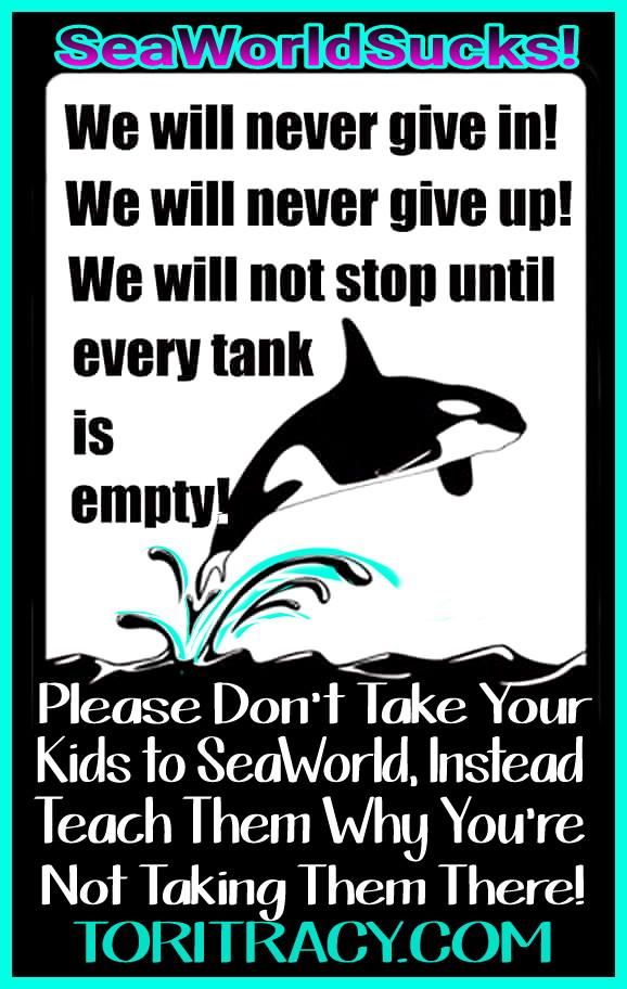 SeaWorldSucks!
Wth each day passing is anothr day closr 2 the demise of SeaWorld! I cant wait!
TORITRACY.COM