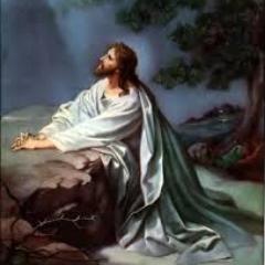 NevilHoward's tweet image. 