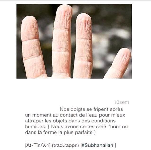 Rappel d'Allah (@rappeldallah) on Twitter photo 