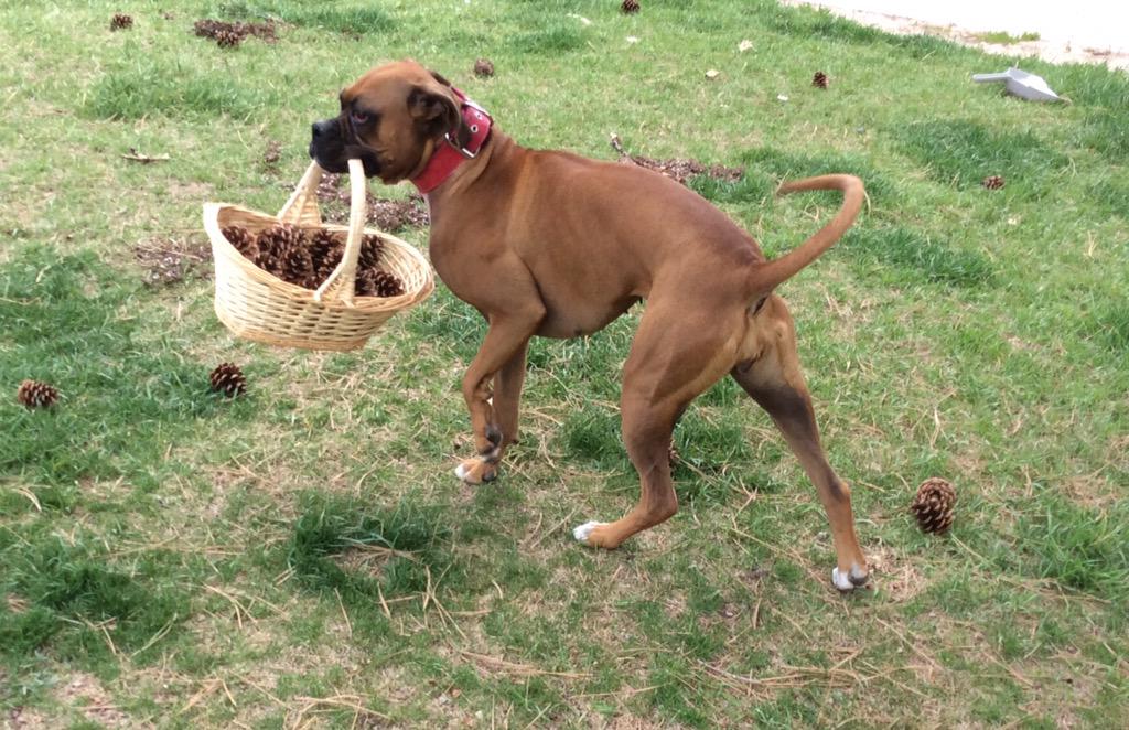 DenverStudio's tweet image. Not so helpful