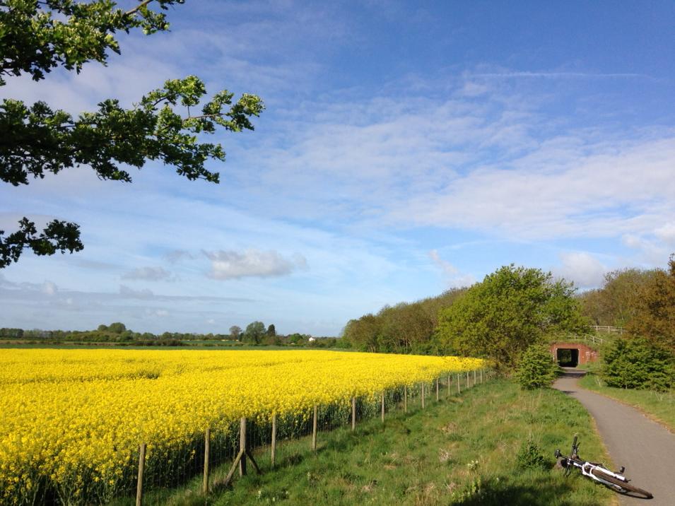 Pete Low tweet media