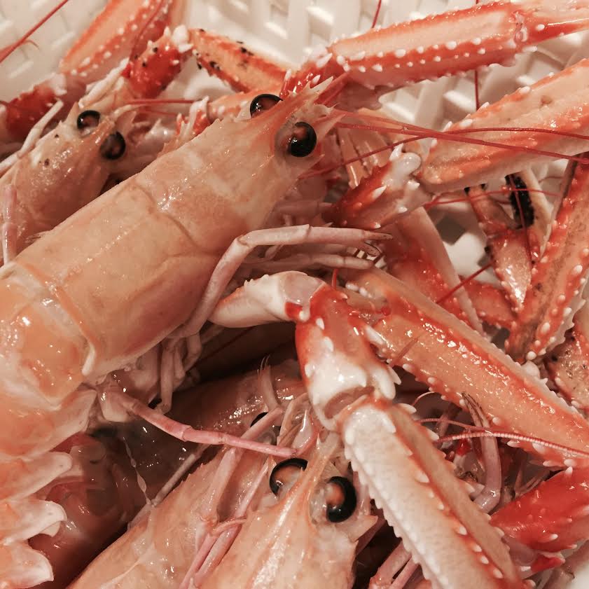 Scampi in arrivo!

#pescheriasanpietro #scampi #pesce #firenze