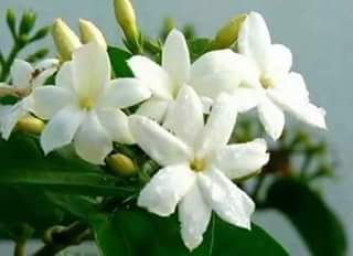 firas1976fff's tweet photo. @Kesha_MySmile http://t.co/PDU5npRIni