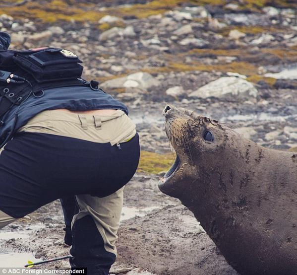 ChortlesWeakly's tweet image. What bad, unaccountable church government will eventually do to you -- visualized. 

#SatRT