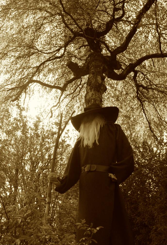 exploreplanet's tweet photo. A wizard day at at Wray Scarecrow Festival #wray #wrayscarecrow #Scarecrowfestival http://t.co/46KezczlBY