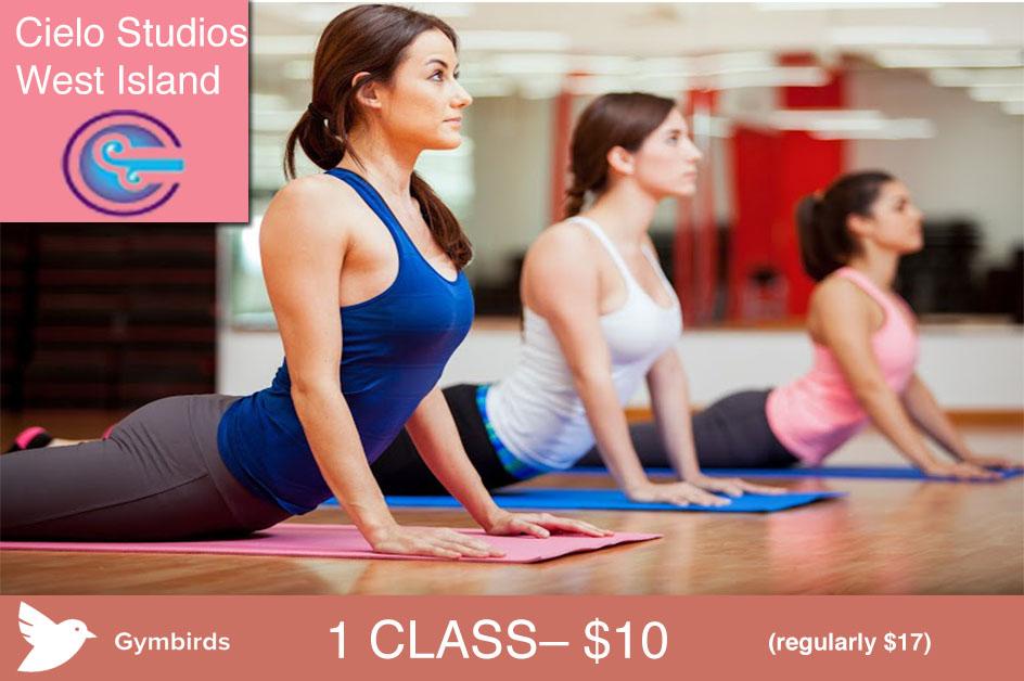 Gymbirds tweet picture